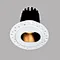 Micro-Prismatic Downlight